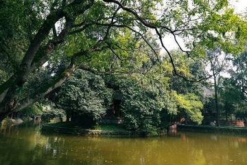 IMG_3014 (1)