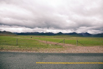 IMG_1693 (1)
