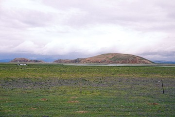 IMG_1702 (1)