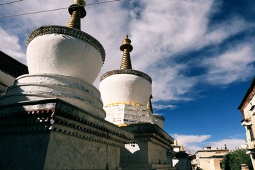 IMG_2365 (1)