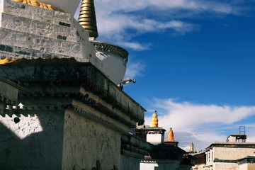 IMG_2370 (1)