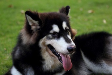 IMG_6990.JPG