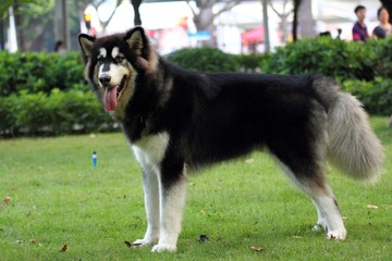 IMG_6997.JPG
