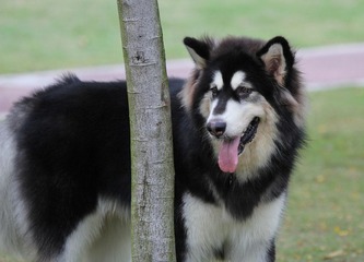 IMG_8483.JPG