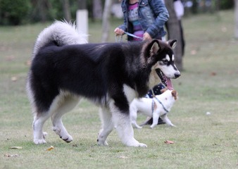 IMG_8621.JPG