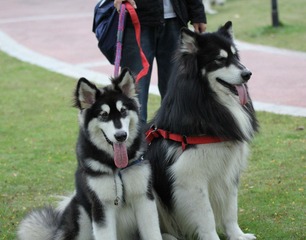 IMG_8524.JPG