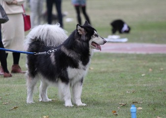IMG_8542.JPG