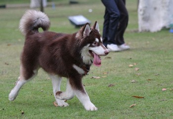 IMG_8619.JPG