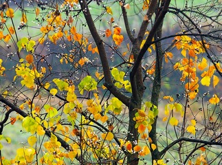 IMGP5927-1-2