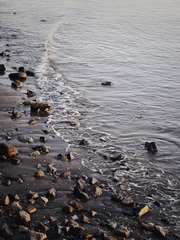 76D4336E-47D2-4204-A0F8-7950BB648A90/L0/001