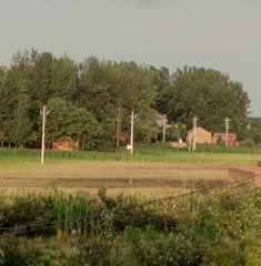 539002