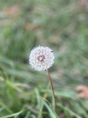 FD24E59D-4F6F-4732-A398-94E5CE17D98A/L0/001