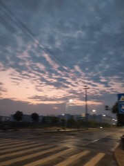 268