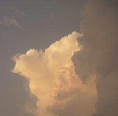 B4764C27-7157-4437-B4BF-9E3A4EED4E99/L0/001