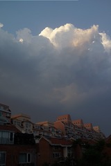 360693FE-E4C5-4736-B216-E7D331E47640/L0/001