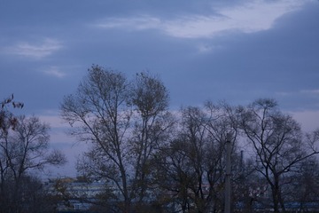 54745