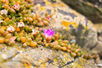 L1000467-编辑