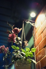 L1000325-编辑