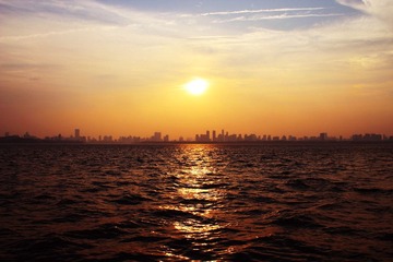 IMG_1579.jpg