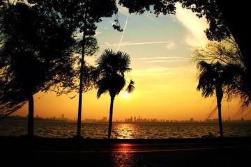 IMG_1586.jpg