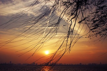 IMG_1598.jpg