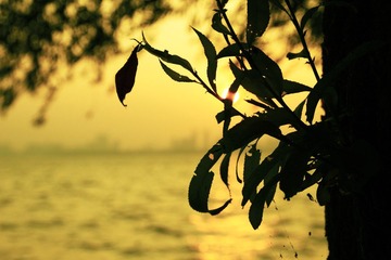 IMG_1637.jpg