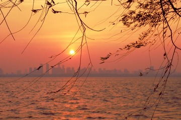 IMG_1650.jpg