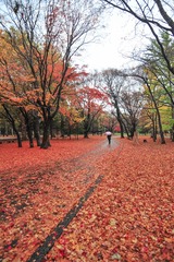 DSC_1383-1-2