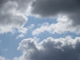 11114