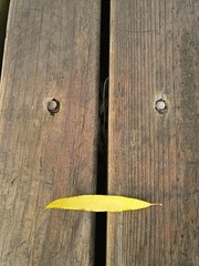 139009