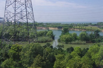 IMGP0001.JPG