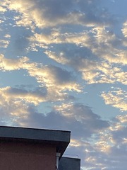 C14B7C68-CE3E-4CF4-9863-2011C42CE634/L0/001