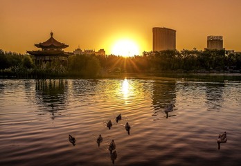 公园小景
