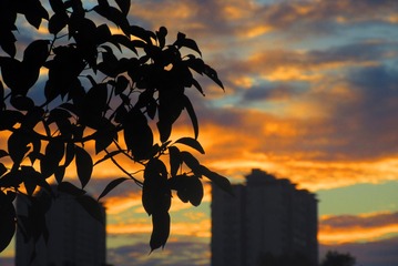 A0AA92BA-6A0A-42D8-A981-E09CA1589DF9/L0/001