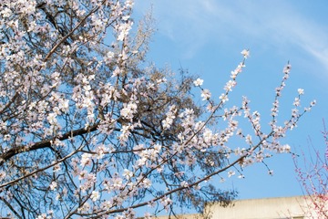 9BB5CEC0-E6E5-460D-9958-7815F8EDA504/L0/001