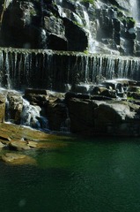 IMGP6091.JPG