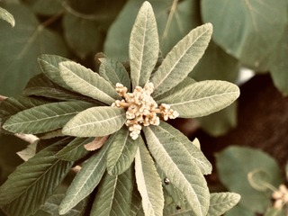 CE0AB0B6-7D60-4400-8FDD-18CCF0F5AD17/L0/001