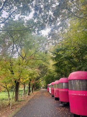 7D21E8A3-5248-44BF-8057-2B398D348940/L0/001