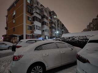 1000233949