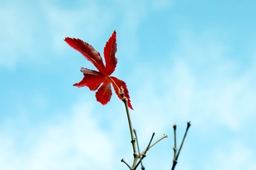 20171119_13-14