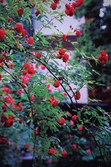 3DB0D4F9-635C-4312-BA14-38DD20F91C76/L0/001