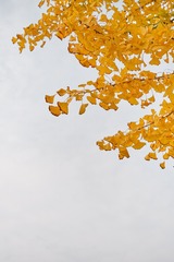E2939D67-2CF0-4162-9507-C68FD3BDBC48/L0/001