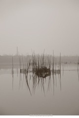 香河