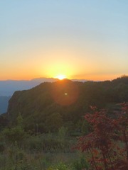 A334978B-6A5D-4676-8A11-53414FE16A1A/L0/001