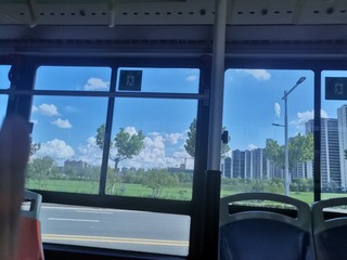 32536
