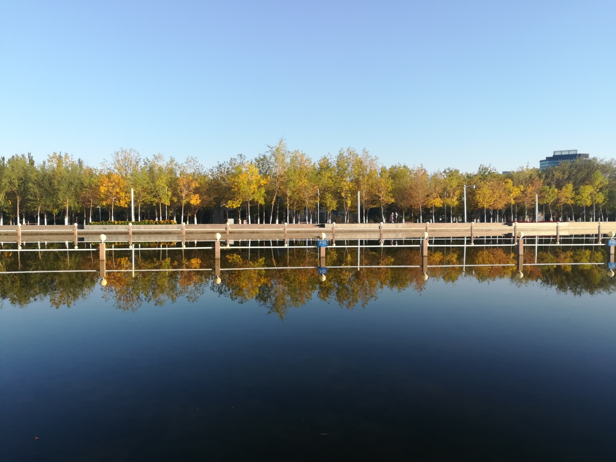 问秋- panda-东方客 - 图虫