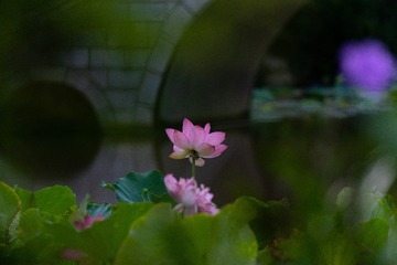 8BA547DC-EF86-4FF4-94A8-151EB430C167/L0/001
