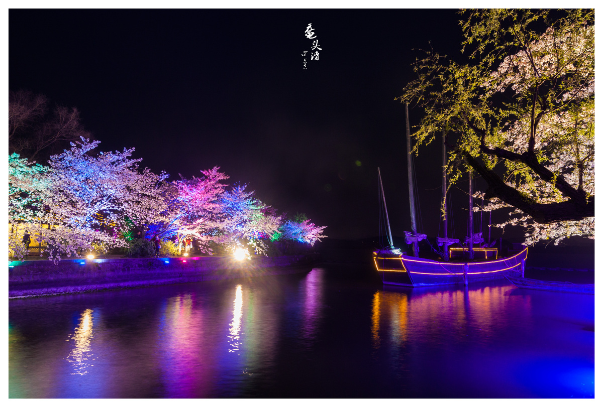 鼋头渚夜樱 - 夜景, 风光 - kimileonis - 图虫摄影网