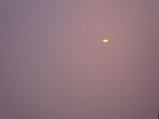DSC01429.JPG