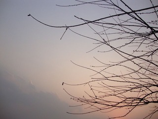 DSC01579.JPG